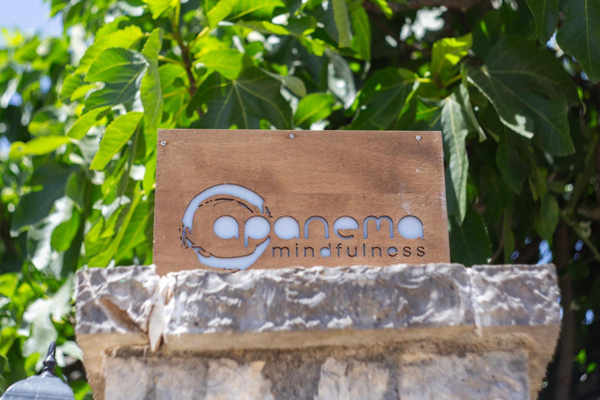 Apanema Mindfulness Resort Lefkada Asprogerakata Exterior photo